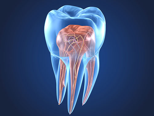 Endodonzia Studio Dentistico Bazzoni